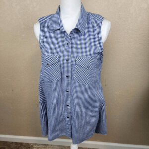 Pink Cattlelac Blue and White Gingham Sleeveless Western Top Large (3643)